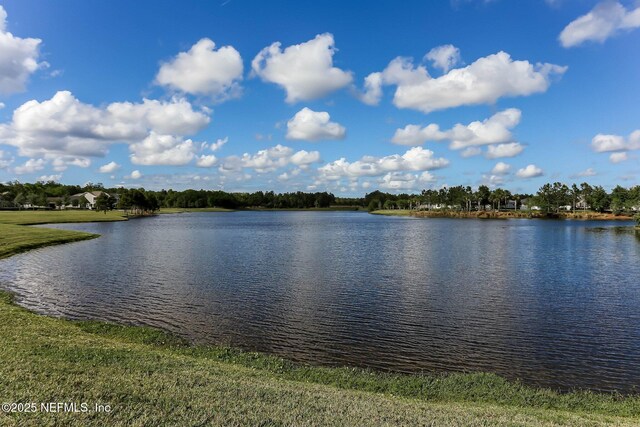 157 Oak Pk Dr, Saint Johns, FL 32259 - water view