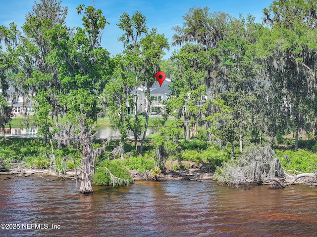 157 Oak Pk Dr, Saint Johns, FL 32259 - water view featuring a tree filled landscape