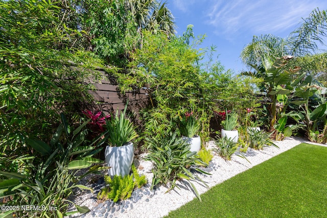 3516 1st St S, Jacksonville Beach, FL 32250 - view of yard