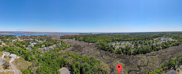 97282 Yorkshire Dr, Yulee, FL 32097 - bird's eye view of a heavily wooded area and a large body of water