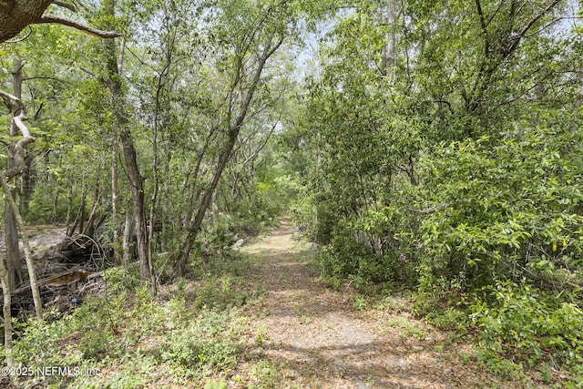 view of road with a wooded view