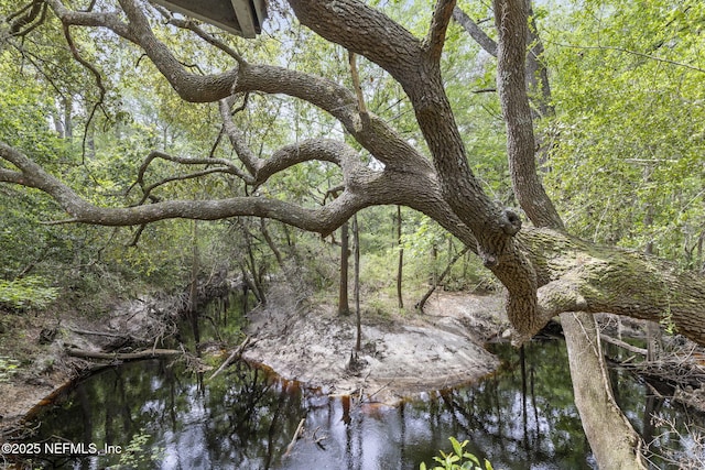 view of local wilderness with a wooded view