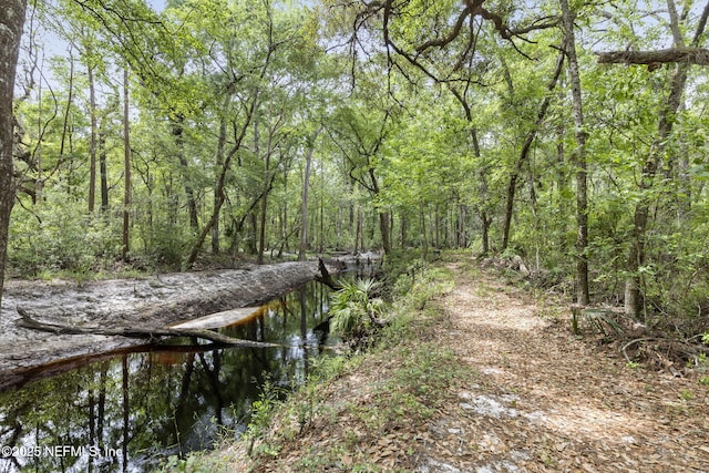 view of nature featuring a view of trees
