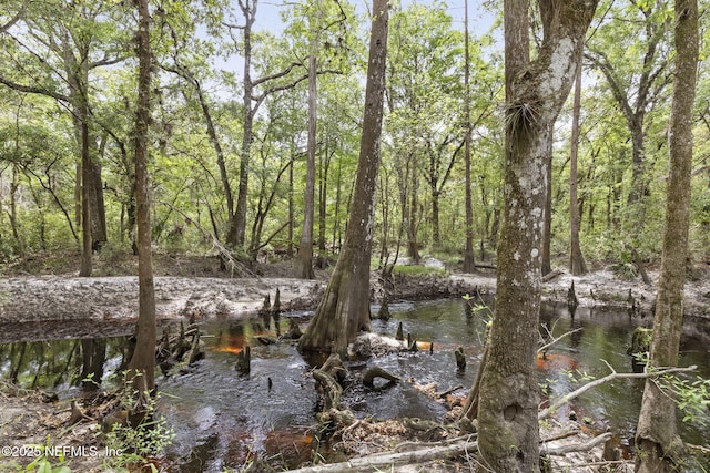 view of nature featuring a forest view