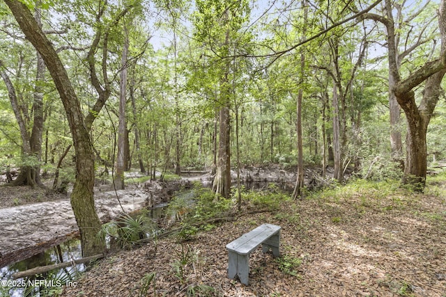 view of yard featuring a forest view
