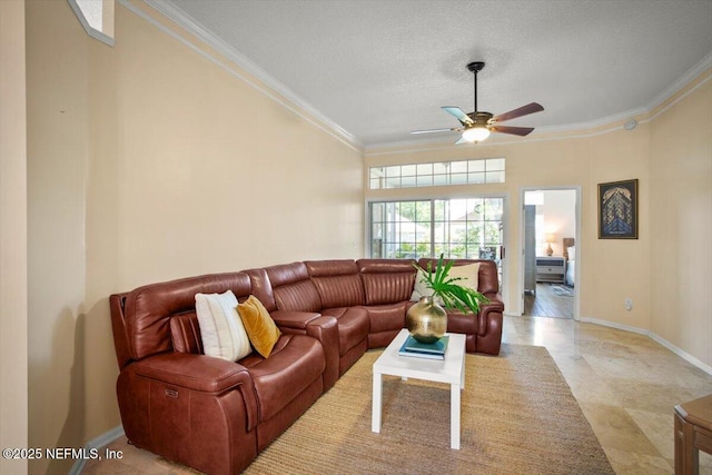 1886 Mourning Dove Ln, Jacksonville Beach, FL 32250 - living area with crown molding, a ceiling fan, baseboards, and a textured ceiling