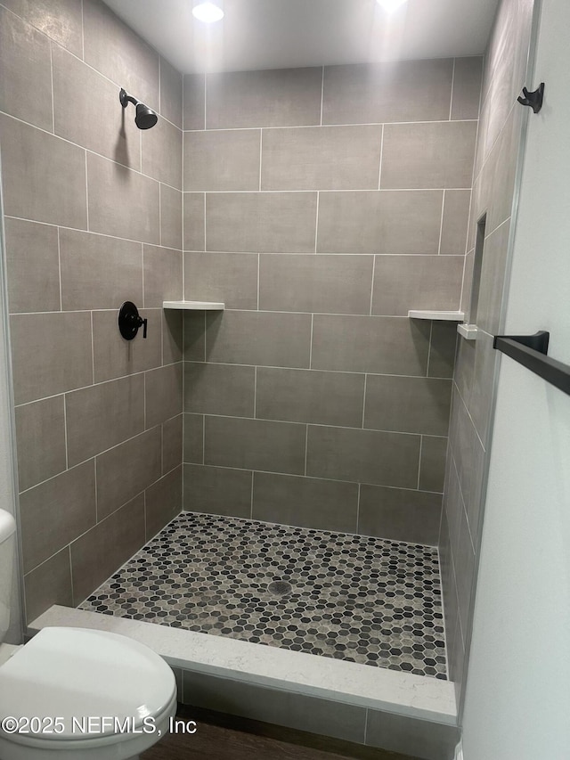 116 Moseley Ave, Palatka, FL 32177 - full bathroom with a tile shower and toilet