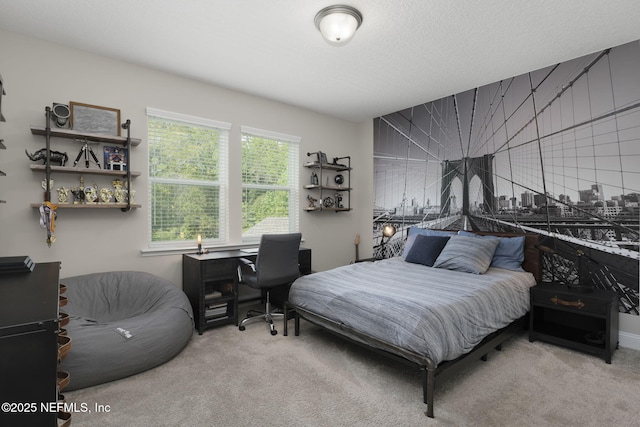 247 Vale Dr, Saint Augustine, FL 32095 - view of carpeted bedroom