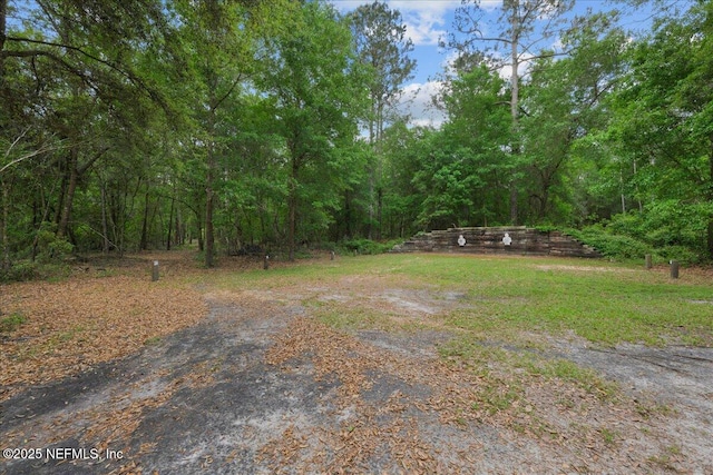 9835 SW 80th Pl, Hampton, FL 32044 - photo 63