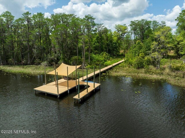 9835 SW 80th Pl, Hampton, FL 32044 - photo 74