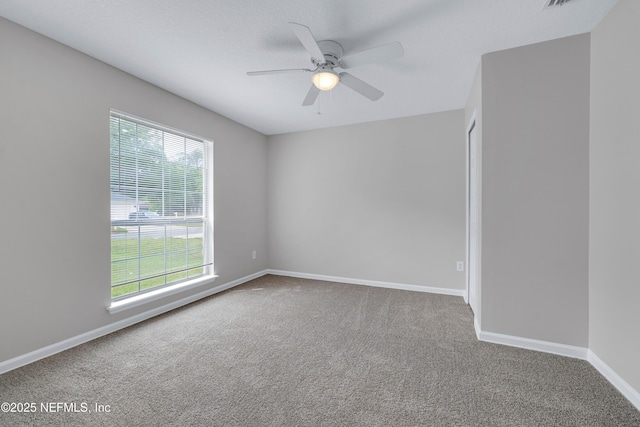 4423 Jackson Hole Ct, Jacksonville, FL 32210 - photo 5