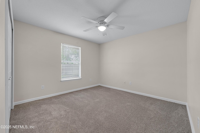 4423 Jackson Hole Ct, Jacksonville, FL 32210 - photo 23