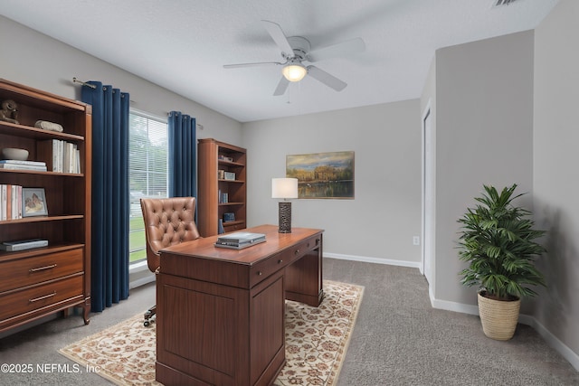 4423 Jackson Hole Ct, Jacksonville, FL 32210 - photo 4