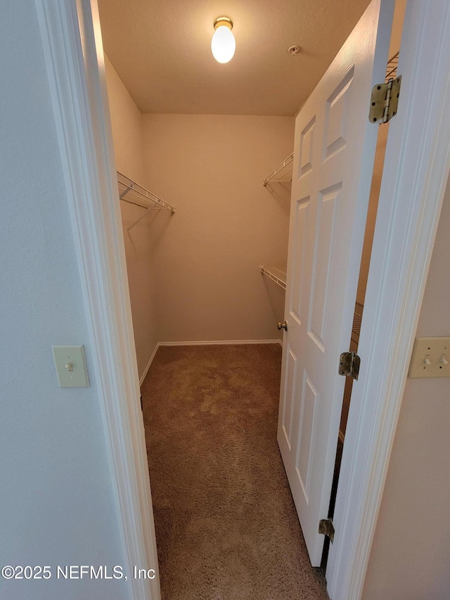 spacious closet with carpet floors