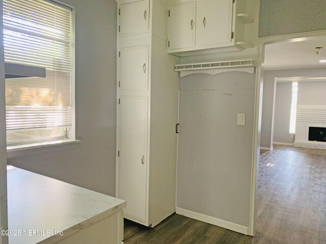5133 Palmer Ave, Jacksonville, FL 32210 - washroom with a fireplace with raised hearth, dark wood-style floors, and baseboards