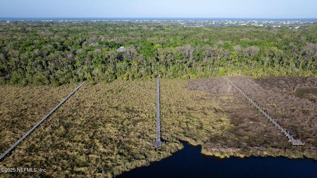 89 Bridle Ridge Ct, Flagler Beach, FL 32136
