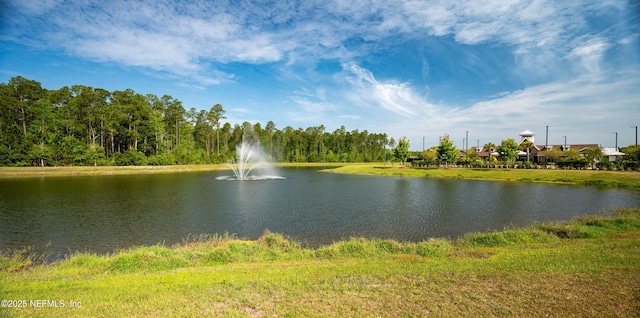 128 Dovetail Cir, Saint Augustine, FL 32095 - photo 8