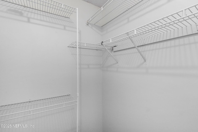 2566 Sandlewood Cir, Orange Park, FL 32065 - view of walk in closet
