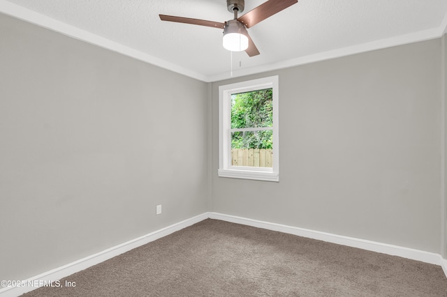 6419 Coolidge St, Jacksonville, FL 32219 - photo 12