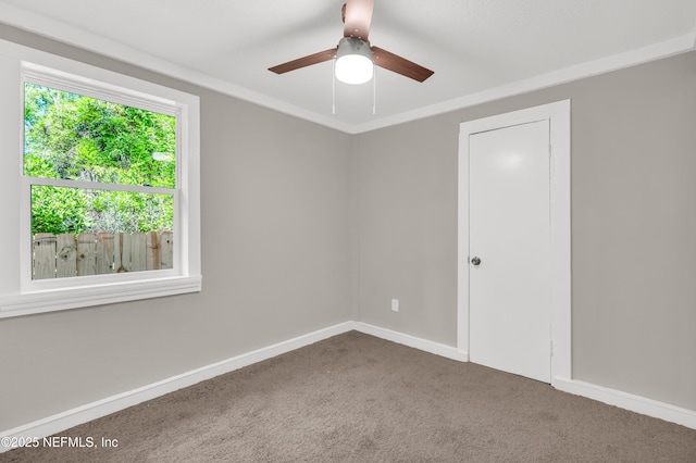 6419 Coolidge St, Jacksonville, FL 32219 - photo 13