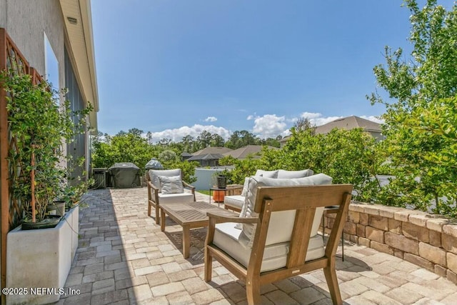 311 Wild Rose Dr, Saint Johns, FL 32259 - view of patio / terrace with area for grilling and an outdoor hangout area