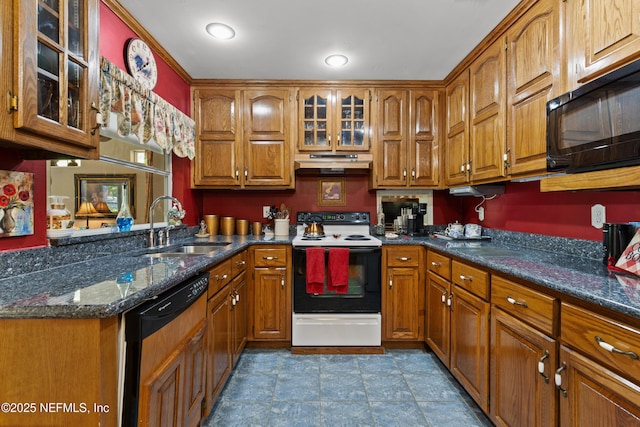 50 SE Forest St, Keystone Heights, FL 32656 - kitchen featuring dishwashing machine, black microwave, under cabinet range hood, a sink, and electric range oven