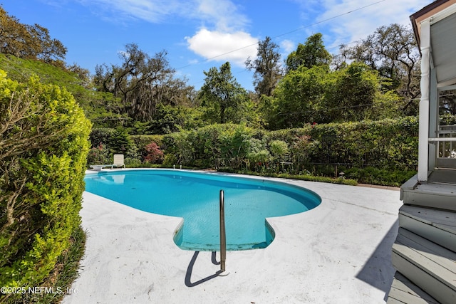 50 SE Forest St, Keystone Heights, FL 32656 - outdoor pool featuring a patio area and a diving board
