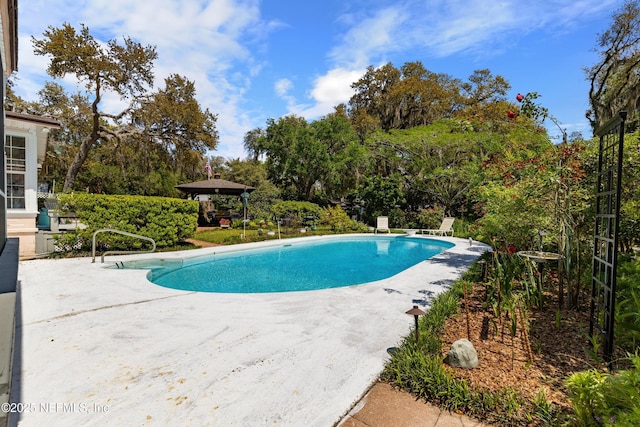 50 SE Forest St, Keystone Heights, FL 32656 - outdoor pool featuring a patio area