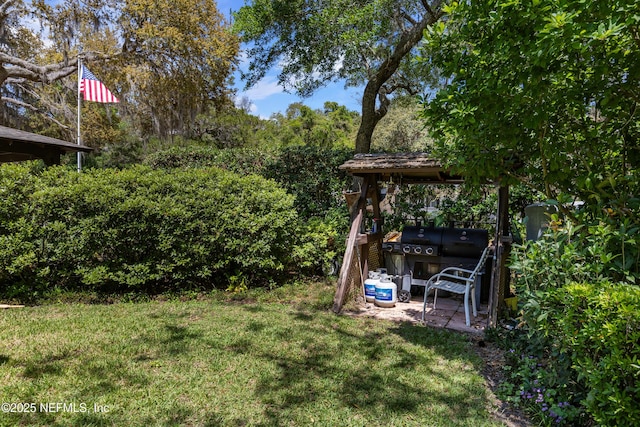 50 SE Forest St, Keystone Heights, FL 32656 - view of yard