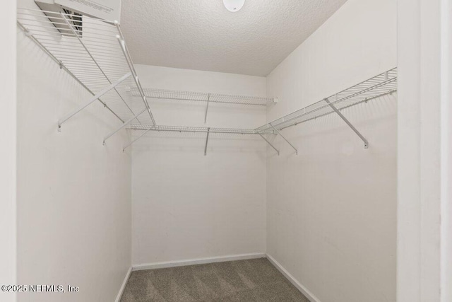 1029 Buttercup Dr, Saint Johns, FL 32259 - walk in closet with carpet flooring