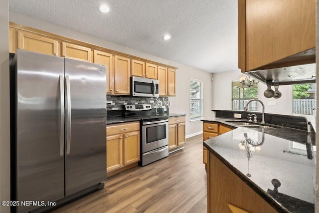 1029 Buttercup Dr, Saint Johns, FL 32259 - kitchen featuring appliances with stainless steel finishes, a sink, dark wood-style floors, backsplash, and dark stone counters