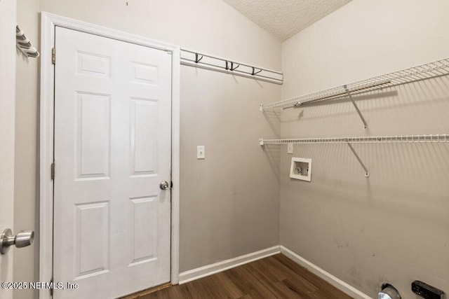 1029 Buttercup Dr, Saint Johns, FL 32259 - washroom featuring hookup for a washing machine, dark wood-type flooring, baseboards, and a textured ceiling