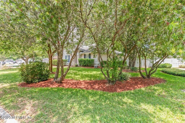 1029 Buttercup Dr, Saint Johns, FL 32259 - view of grassy yard