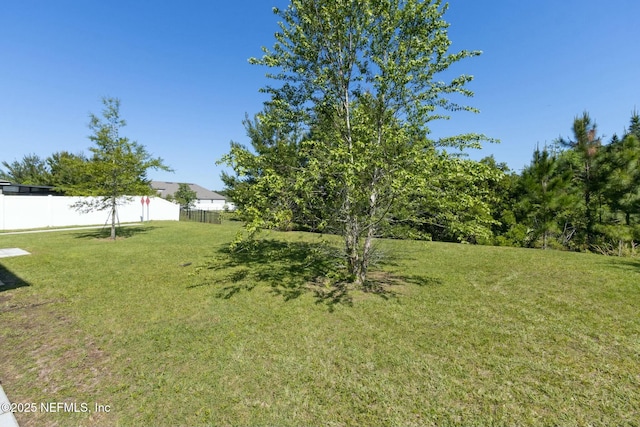 254 Seville Pkwy, Saint Augustine, FL 32086 - photo 40