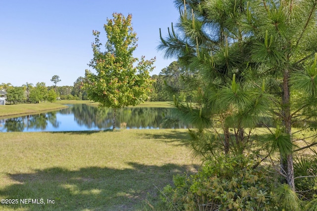 254 Seville Pkwy, Saint Augustine, FL 32086 - photo 41