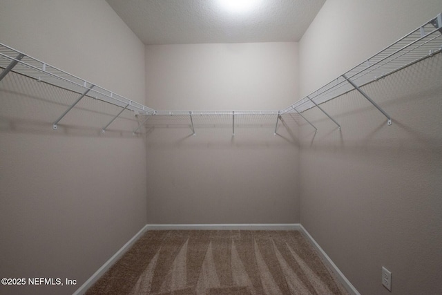 75309 White Rabbit Ave, Yulee, FL 32097 - spacious closet with carpet floors