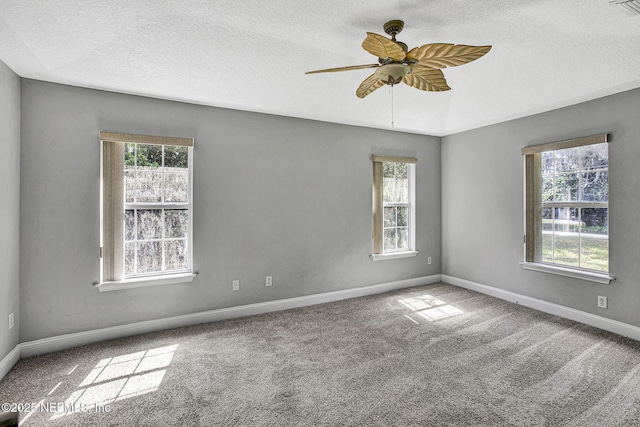 unfurnished room featuring a textured ceiling, carpet flooring, and a wealth of natural light