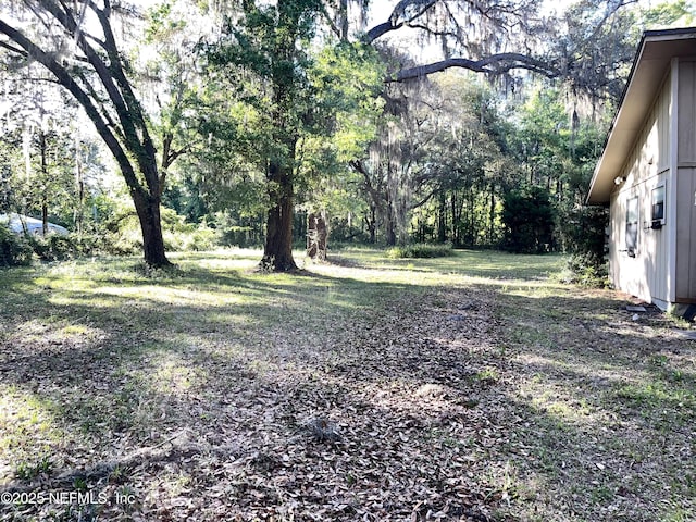 510 W Hillsborough Ave, Florahome, FL 32140 - view of yard
