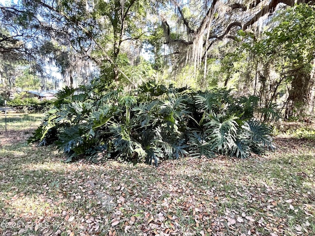 510 W Hillsborough Ave, Florahome, FL 32140 - view of landscape