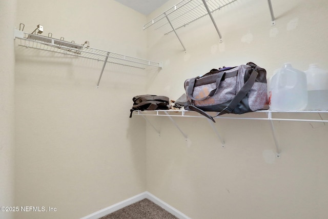 2351 Oak Stream Dr, Green Cove Springs, FL 32043 - walk in closet featuring carpet