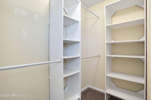 2351 Oak Stream Dr, Green Cove Springs, FL 32043 - walk in closet with carpet flooring