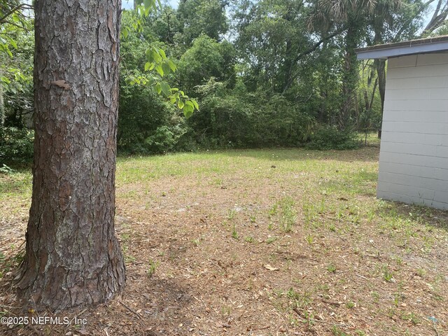 2552 Spirea St, Jacksonville, FL 32209 - view of yard