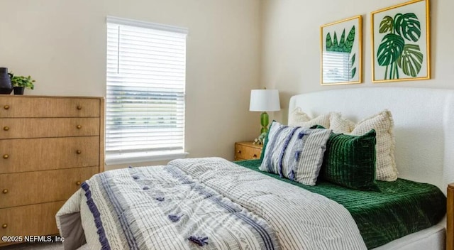 2781 Seasons Rd, Green Cove Springs, FL 32043 - bedroom featuring multiple windows