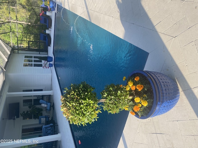 263 Broadleaf Ln, Saint Johns, FL 32259 - view of pool