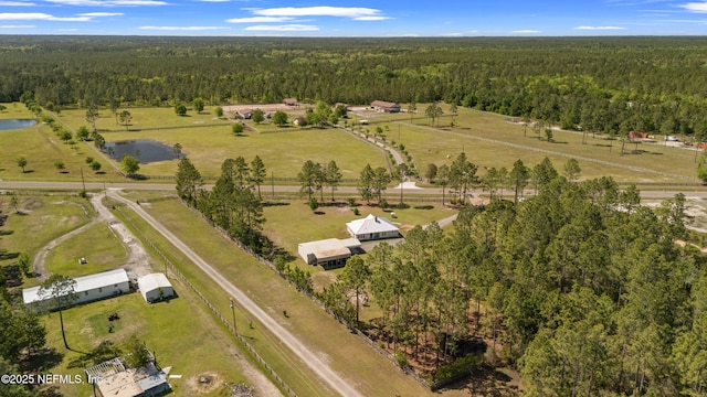 12531 County Road 121, Bryceville, FL 32009 - birds eye view of property featuring a wooded view and a rural view