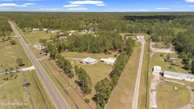 12531 County Road 121, Bryceville, FL 32009 - aerial view with a view of trees