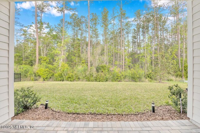 145 Bridgeton St, Saint Johns, FL 32259 - view of yard