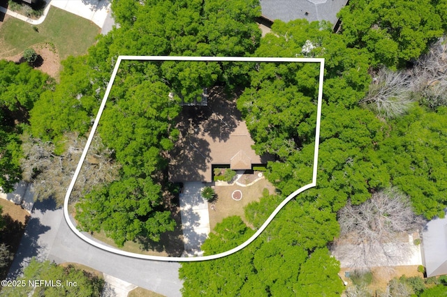 bird's eye view