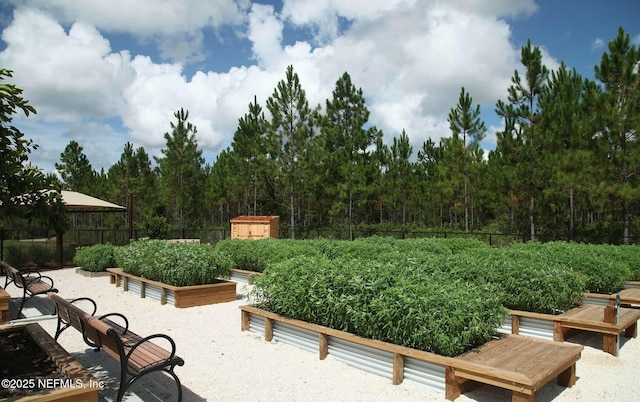 112 Bluffton Ct, Saint Augustine, FL 32092 - exterior space with a vegetable garden, fence, an outbuilding, a storage unit, and a forest view