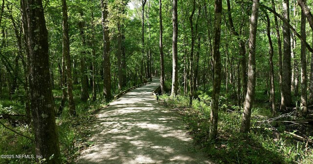 112 Bluffton Ct, Saint Augustine, FL 32092 - view of road featuring a forest view